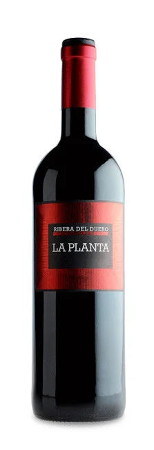 LA PLANTA 2023 D.O.RIBERA DEL DUERO