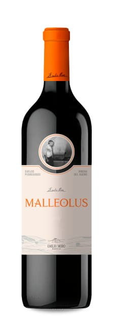 MALLEOLUS 2021 D.O.RIBERA DEL DUERO